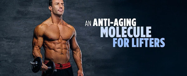 Life Extension + Performance Enhancement